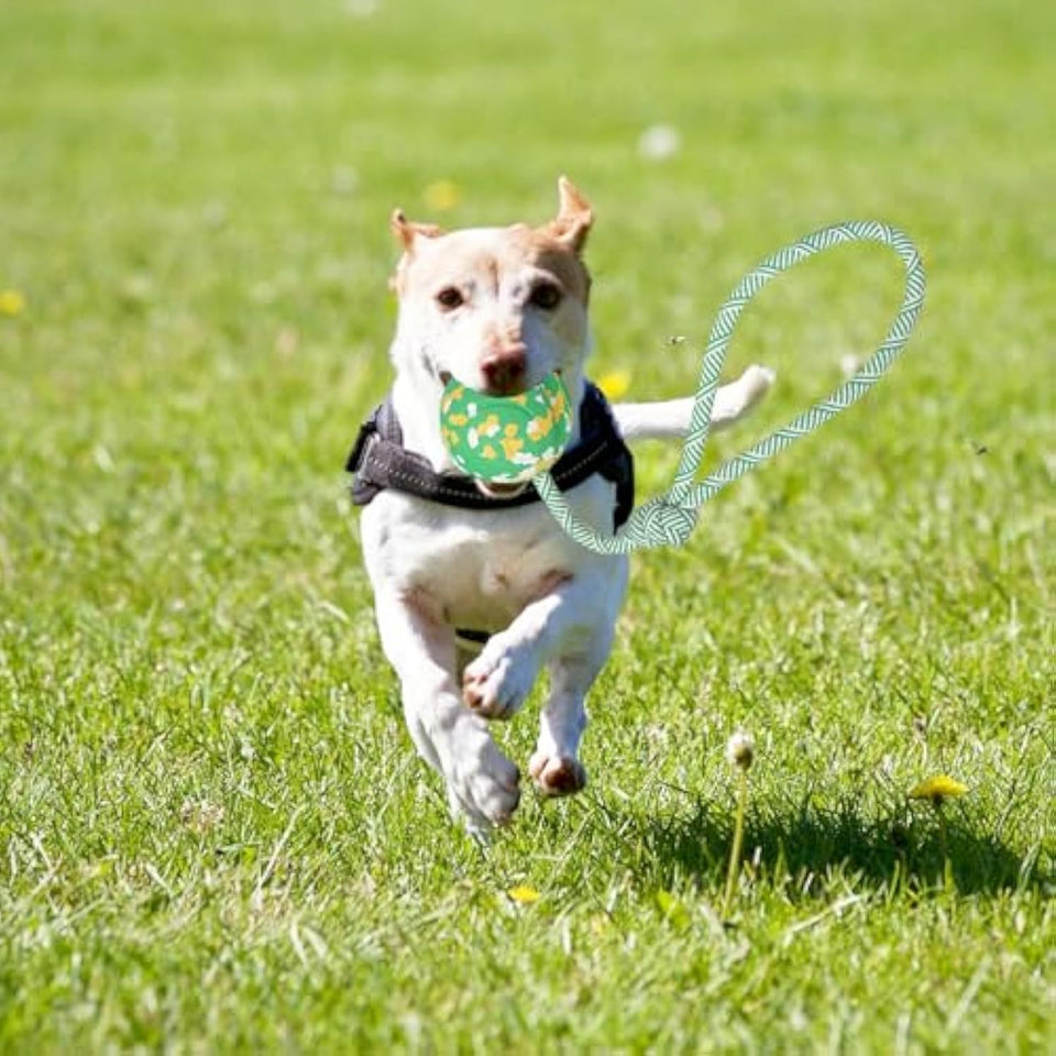 Dog Ball On Rope Dog Toy For Medium Small Dog Interactive Natural Solid Rubber Dog Rope Ball Dog Fetch Pull Tug Throw Toy Ball Toys